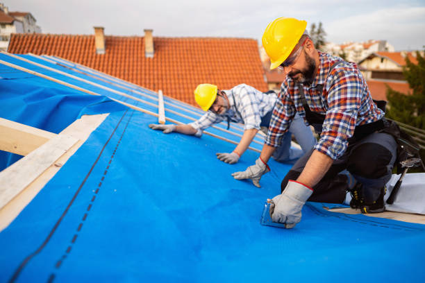 Best Roof Ventilation Installation  in Buena Vista, VA