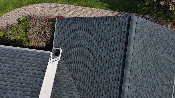 Best Gutter Installation and Repair  in Buena Vista, VA